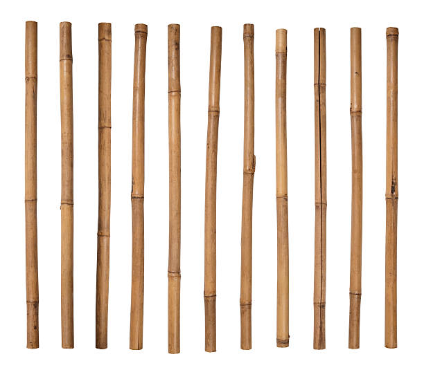 bamboo rod bamboo rod